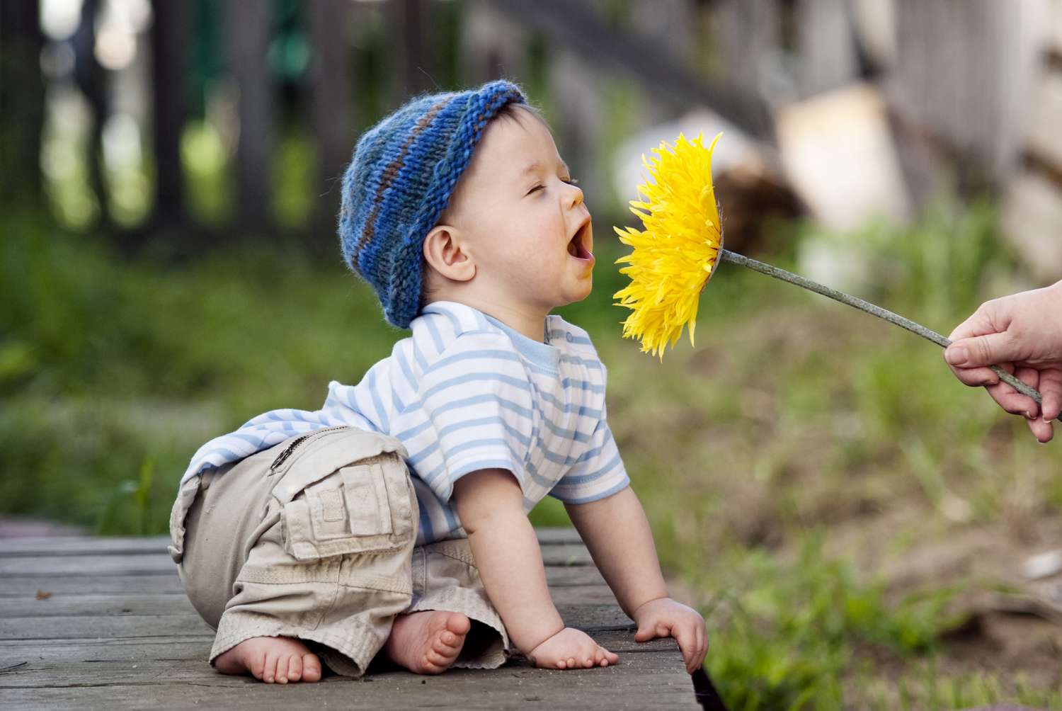 Fall allergies in babies and toddlers - common triggers Canadian child experiencing fall allergy symptoms with seasonal allergens like ragweed pollen in background