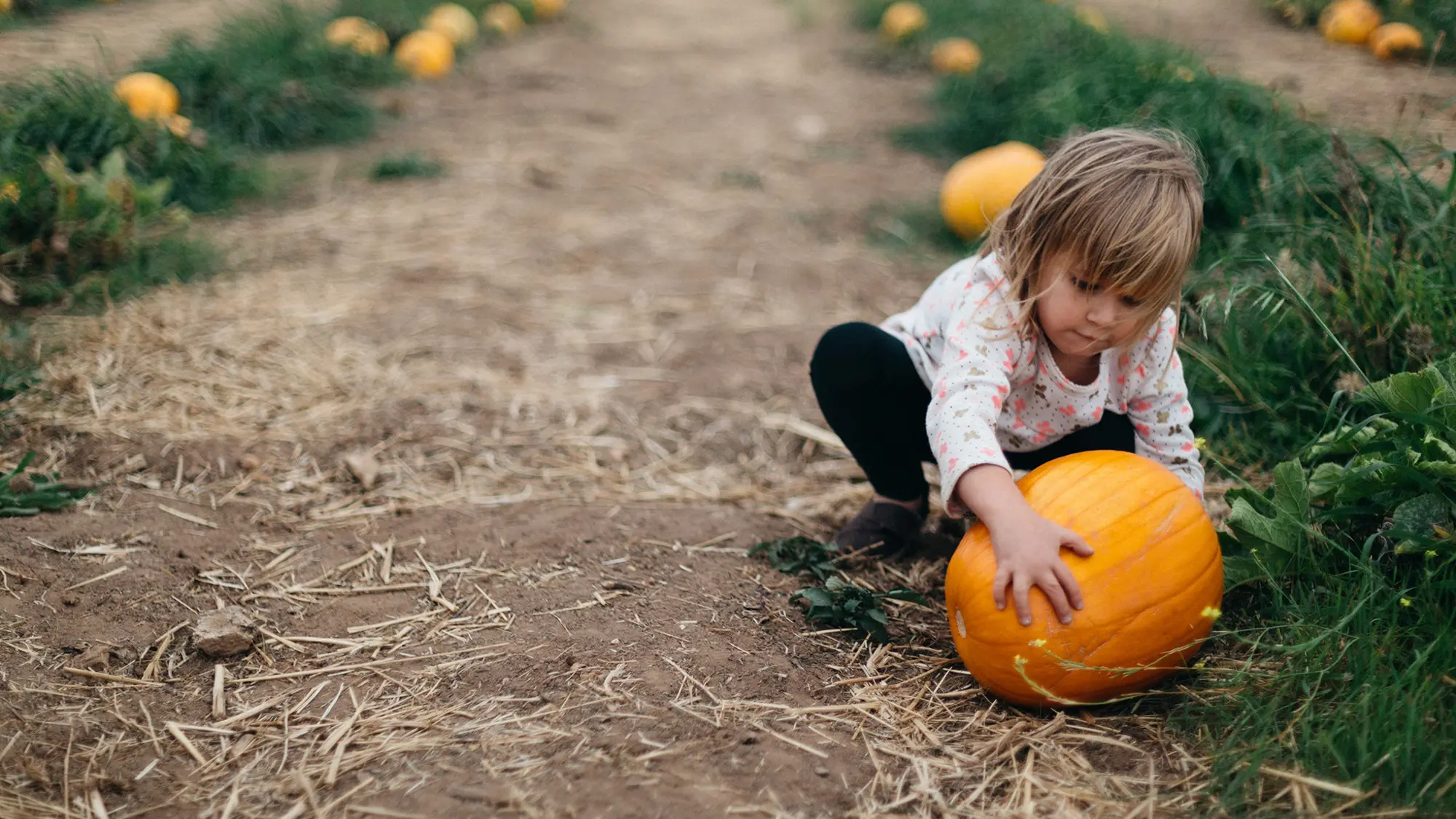 Natural outdoor play environments for Canadian children during autumn Outdoor family activities in Canada during fall season with children playing in natural settings