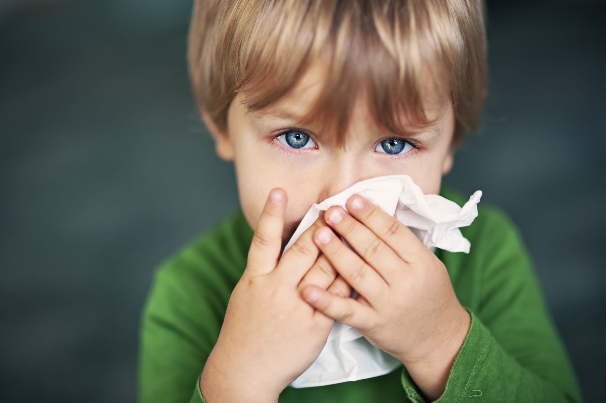 Fall allergy prevention tips for Canadian families Canadian family implementing fall allergy prevention strategies indoors with air purifier and clean environment