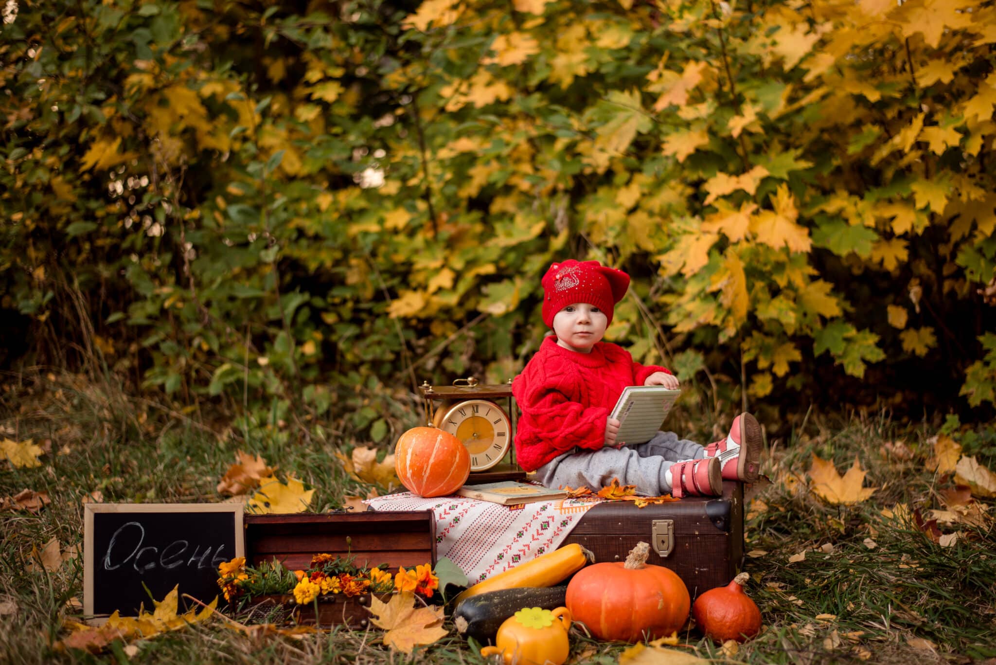 Parents enjoying a fall stroll with their baby in a budget-friendly stroller